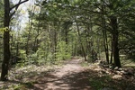 253IMG_4149.JPG