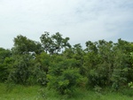 18768P1000606.JPG