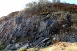 28734P1010760-1.JPG