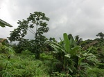 45405CIMG2490.JPG
