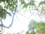 48210CIMG4547.JPG