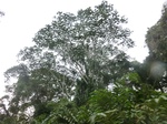 48137CIMG4474.JPG