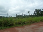 19937P1010787.JPG