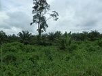 20260P1020115.JPG
