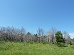 21632P1010458.JPG