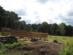 15463IMG_4532.JPG
