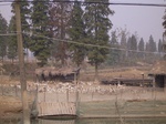3084 017.jpg