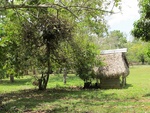 29560IMG_5182.JPG