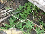 47257CIMG3594.JPG