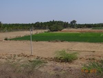 51948Tank ID 1800269 Yaladabagi 1.JPG
