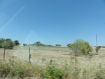 34999DSC01901.JPG