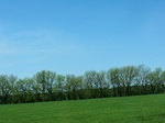 28995CIMG0694.JPG