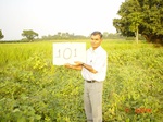 6636gt101-cropland-1.jpg