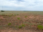 39313MINC20110921GPS.JPG
