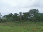 8925nigeria 140.jpg