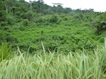 20230P1020085.JPG