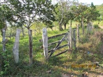 31820IMG_5421.JPG