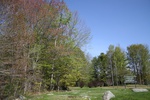 222IMG_4118.JPG
