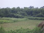 866R0015393_small.jpg