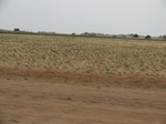 36761CIMG0530.JPG