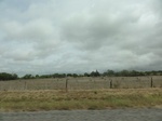 35852DSC02619.JPG