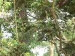48221CIMG4558.JPG
