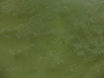 58183CIMG2630.JPG