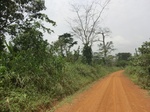 48960CIMG5297.JPG