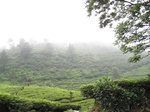 16453IMG_5238.JPG