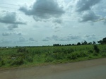 20773P1020631.JPG