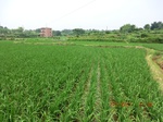 53932CIMG3705.JPG