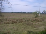 28079RIMG0134.JPG