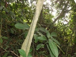 46871DSC02218.JPG
