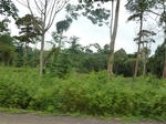 19971P1010821.JPG