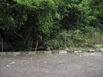 15797IMG_4886.JPG