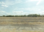35543DSC02040.JPG