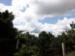 5555100_0944.JPG