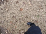 9771IMG_0048.JPG