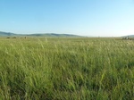 38117P1080042.JPG