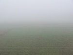 40291CIMG9034.JPG