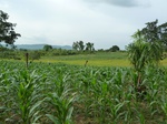 18655P1000493.JPG