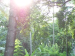 1697710052008(46).JPG