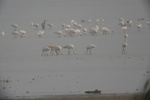 4226IMG_8865.JPG