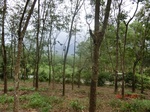 52763CIMG4507_调整大小.JPG