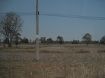 28130IMG_4949.JPG