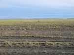 37871CIMG1678.JPG