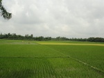 21689DSC00226.JPG
