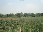 21837DSC08419.JPG