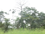 49404CIMG5741.JPG