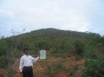 7697gt005a-shrubland-short.jpg